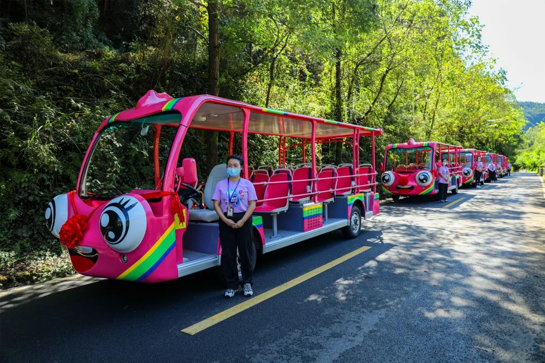 你能想象驾驶景区观光车有多“简单”？！