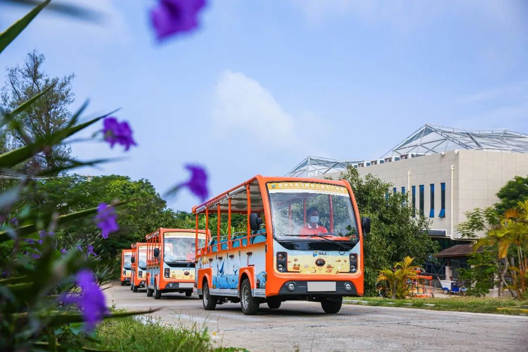 开放啦！永利皇宫官网橙色骑士团已就位，与您相约涠洲岛！