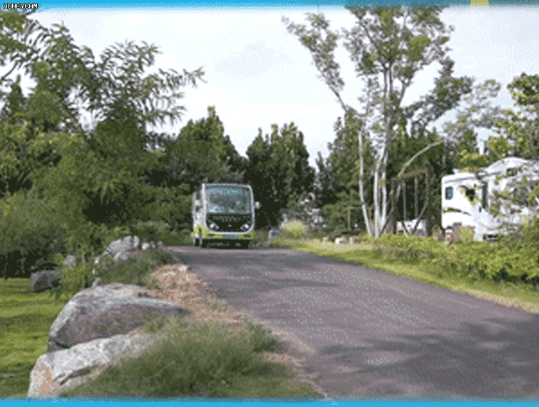 如何定义一辆高品质观光车？