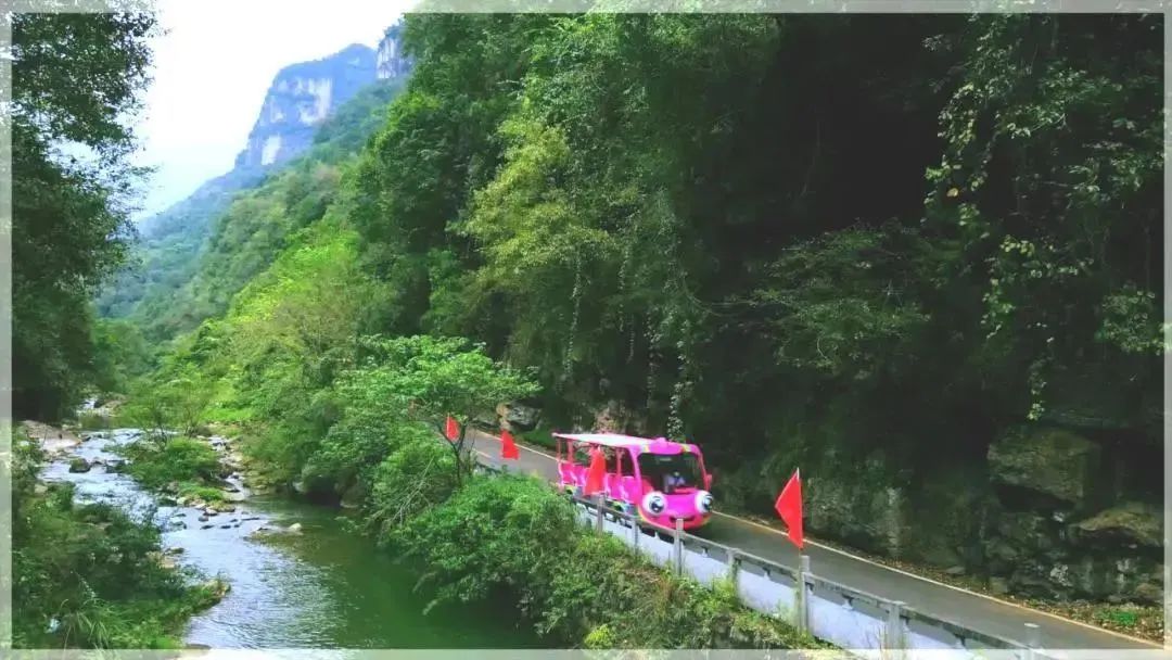 永利皇宫官网观光车“金鱼宝宝”，为三峡大瀑布打赢“景区升级战”！