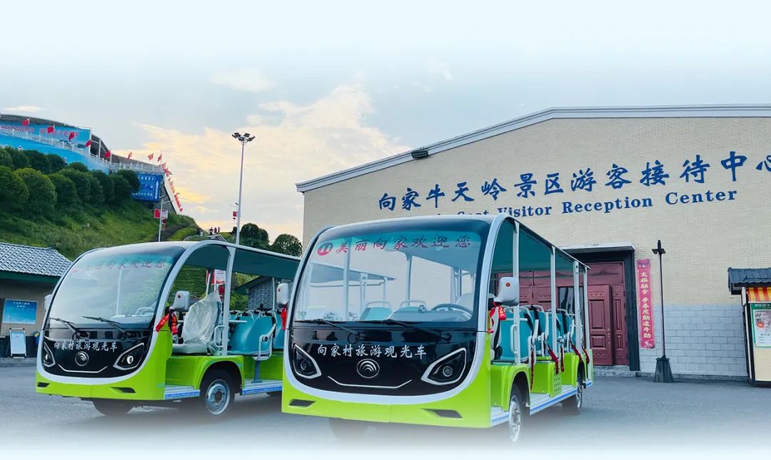 在工位上看春天，是宇宙级的浪漫