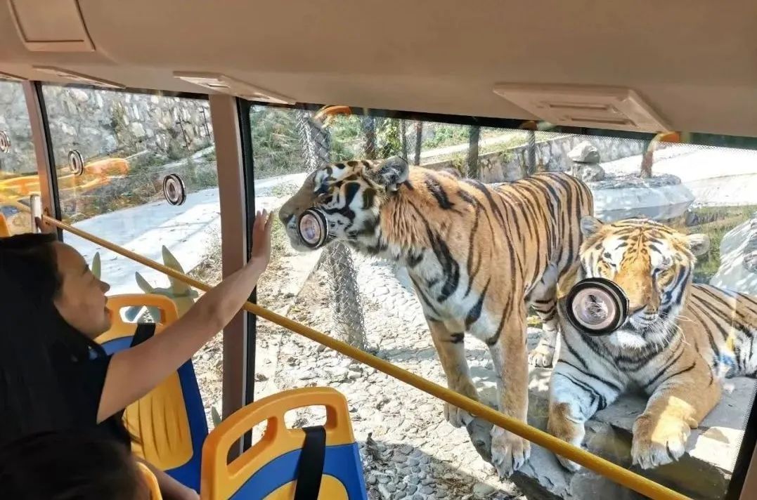 所有郑州人免费了！永利皇宫官网观光车带你嗨玩竹海野生动物园！