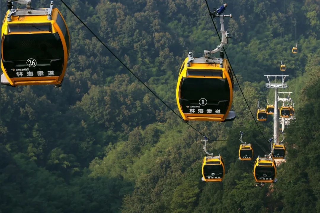 所有郑州人免费了！永利皇宫官网观光车带你嗨玩竹海野生动物园！