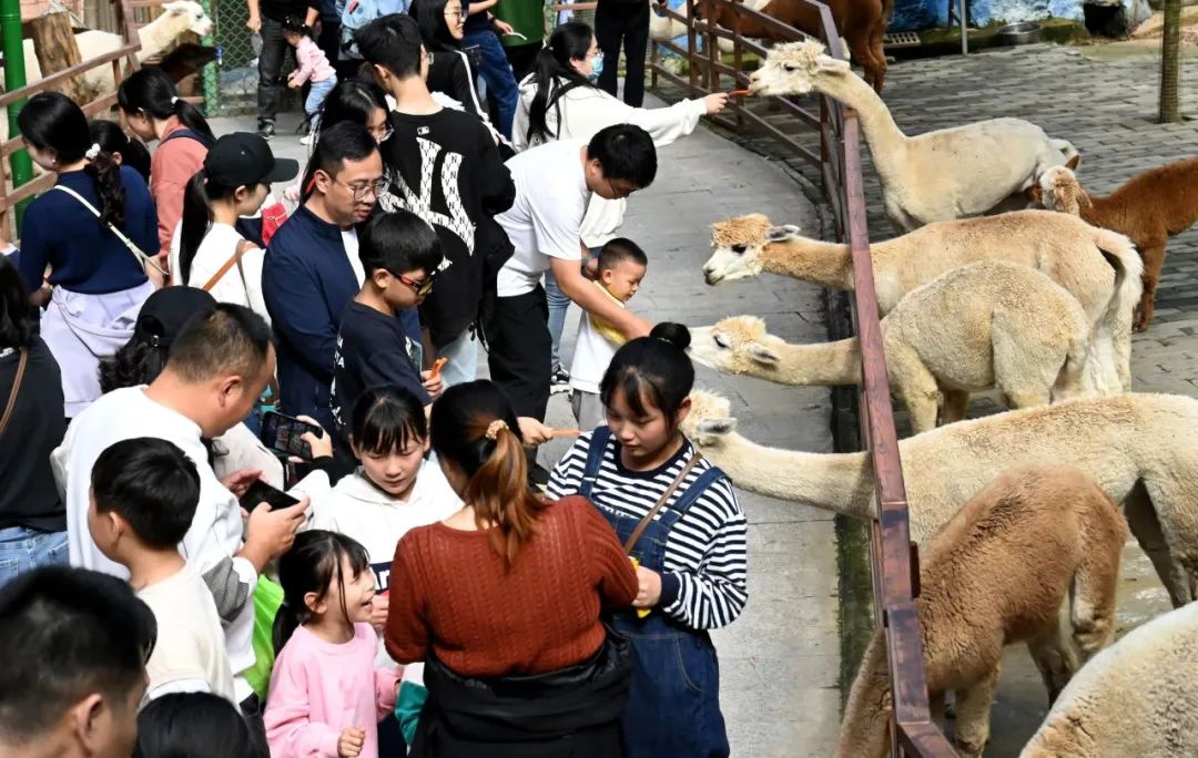 所有郑州人免费了！永利皇宫官网观光车带你嗨玩竹海野生动物园！
